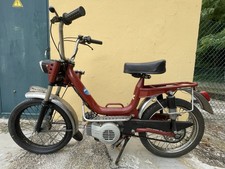 Ciclomotore testi mini usato  Italia