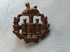 Essex regiment officers for sale  WEYMOUTH
