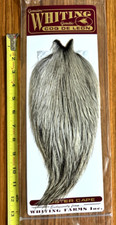 Whiting coq leon for sale  Tulsa