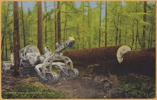 Modern logging tractor for sale  Ripon