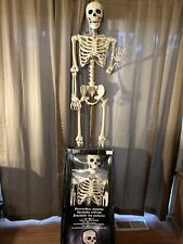 Foot poseable skeleton for sale  Penn Valley