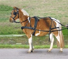 Waldhausen einspänner synthet gebraucht kaufen Waldhausen einspänner synthet gebraucht kaufen  Mönchengladbach