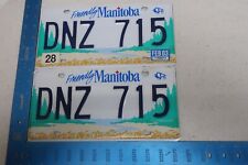 Usado, Placa de licença Manitoba MB etiqueta Canadá 2003 03 conjunto de pares de adesivos naturais DNZ 715 comprar usado  Enviando para Brazil