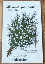 Novelty pull postcard for sale  WORTHING