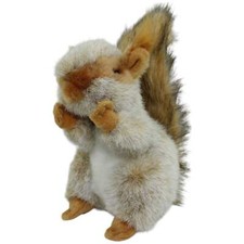 Hübsches graues eichhörnchen gebraucht kaufen  Neusäß