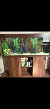 240l jewel fish for sale  WALSALL