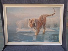 siberian tiger for sale siberian tiger for sale WIGSTON
