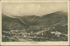 Ansichtskarte metzeral 1917 gebraucht kaufen  Eggenstein-Leopoldshafen