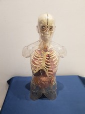 corpo umano deagostini usato corpo umano deagostini usato Italia