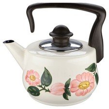 Wasserkessel villeroy boch gebraucht kaufen  Kappeln