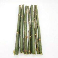 Usado, 50 cortes híbridos Austree salgueiros sombra crescimento rápido quebra-vento Ready2root comprar usado  Enviando para Brazil