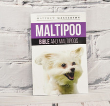 Maltipoo bible maltipoos for sale  Mahomet