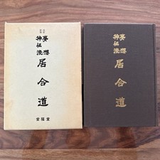 Muso shinden ryu gebraucht kaufen  Plaidt