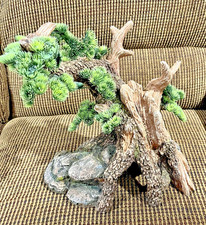 Large terrarium hideout for sale  Azle