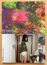 Daisuke Ichiba Tetra Hydro Cannabinal Art Book Illustration Rare comprar usado  Enviando para Brazil