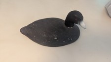 Vintage coot decoy for sale  Portage
