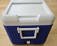 Bauletto contenitore termico. usato  Italia