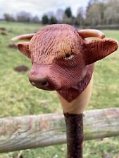 Highland cow head for sale  WORCESTER