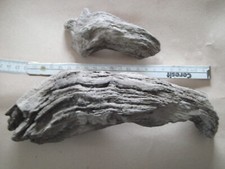 Wurzel deko terrarium gebraucht kaufen  Sinntal