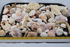 Pounds assorted mixed for sale  Fairbanks