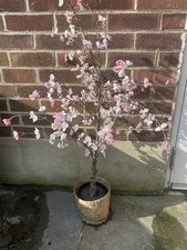 Artificial cherry blossom for sale  LONDON