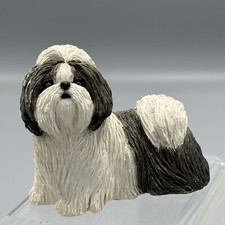 Sandicast shih tzu for sale  Alpharetta