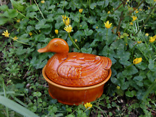 Aime french duck for sale  SEAFORD