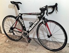 Bici corsa carbonio usato  Pordenone