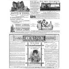 Victorian adverts plant for sale  GLASGOW