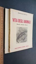 Romualdo natoli vita usato  Siracusa