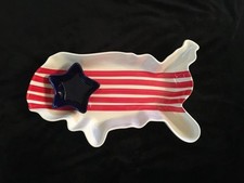 Usa shaped chip for sale  Avella