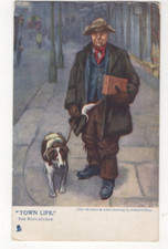 Town life rat for sale  ABERYSTWYTH