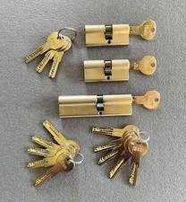 Iseo qualitäts profilzylinder gebraucht kaufen  Freiburg im Breisgau