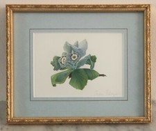 Vintage watercolor botanical for sale  Charleston