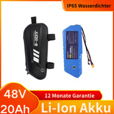 Soul 48v 20ah gebraucht kaufen  Winsen