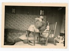 Photo snapshot vintage d'occasion  Expédié en Belgium