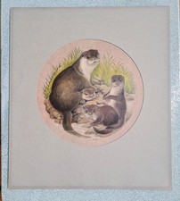 Otters lesley anne for sale  GOSPORT