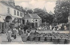 Mareuil san30665 champagne d'occasion  France