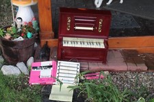 Vintage chein player for sale  Little Hocking