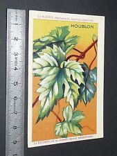 Chromo bledine jacquemaire d'occasion  Vendat