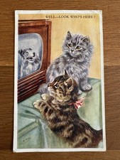 mabel gear for sale  ELLESMERE