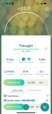 Usado, Poeira estelar Tatsugiri (Curly) Tra-De 20k comprar usado  Enviando para Brazil