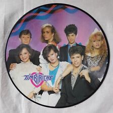 TIMBIRICHE – SOY UN DESASTRE – MELODY 1986 – Látin Pop PICTURE DISC - LP MEXICAN, usado segunda mano  Embacar hacia Argentina