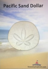 Pacific sand dollar for sale  Kaysville