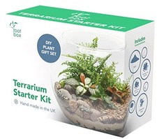 Clearance root box for sale  UK