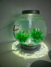 Biorb classic aquarium for sale  DUNS
