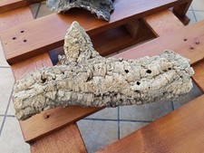 Corteccia sughero non usato  Nettuno