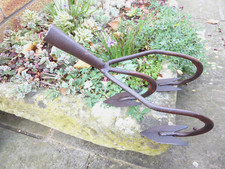 Vintage wolf prong for sale  NORWICH