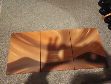 3 canvases for sale  TELFORD