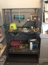 Large metal animal for sale  LYNTON